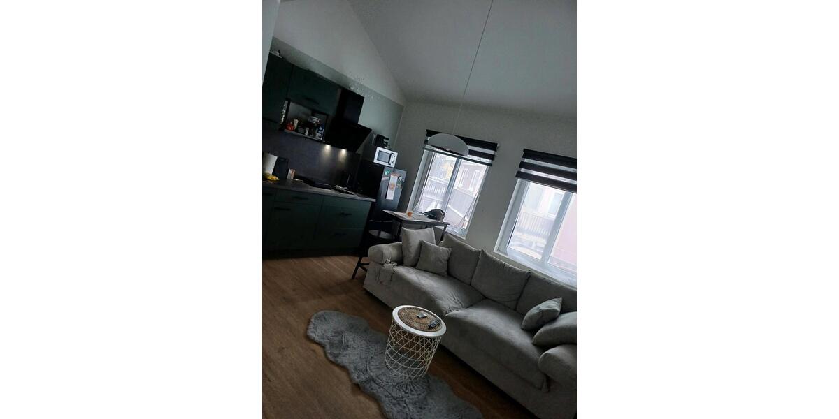 Etagenwohnung Freiberg - 1 Zimmer, 30 m&sup2;, 300&euro; | Angebot:24631805