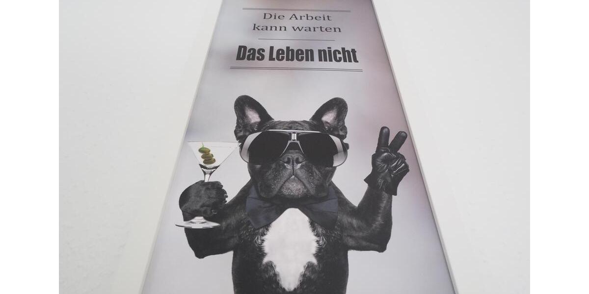 Wohnen auf Zeit Mühlhausen - 9 Zimmer, 200 m&sup2;, 35&euro; | Angebot:11489703