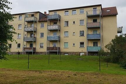 Wohnung Halsbrücke - 2 Zimmer, 44 m&sup2;, 260&euro; | Angebot:25351063