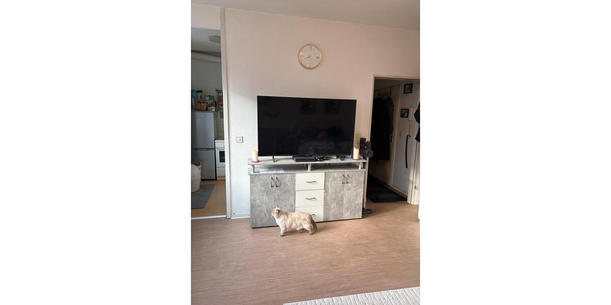Etagenwohnung Kiel Schreventeich - 1 Zimmer, 27 m&sup2;, 520&euro; | Angebot:26646829