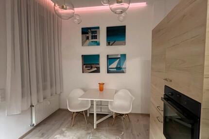 Stilvolles möbliertes 1-Zimmer-Apartment mit großer Terrasse 1 zimmer