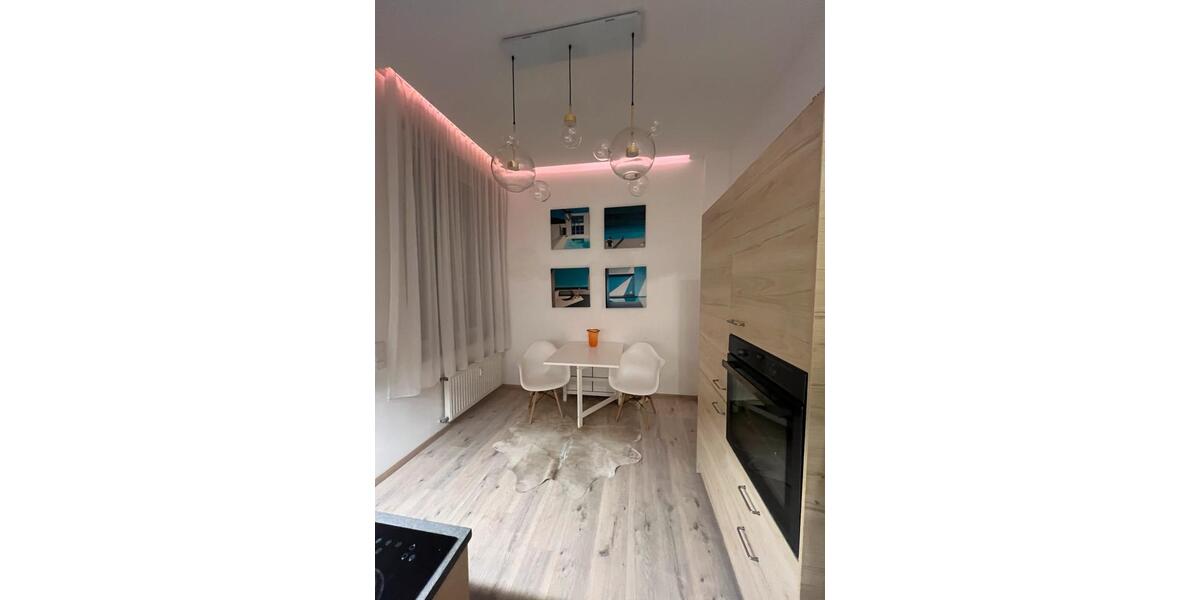 Stilvolles möbliertes 1-Zimmer-Apartment mit großer Terrasse 1 zimmer