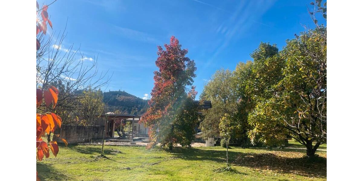 Erdgeschoßwohnung Gengenbach - 2 Zimmer, 70 m&sup2;, 120&euro; | Angebot:25127563