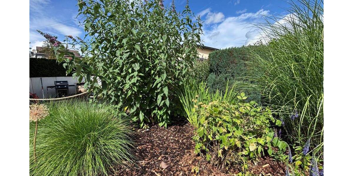 Mehrfamilienhaus, Wohnhaus Runkel Dehrn - 4 Zimmer, 111 m&sup2;, 1.079&euro; | Angebot:23983762