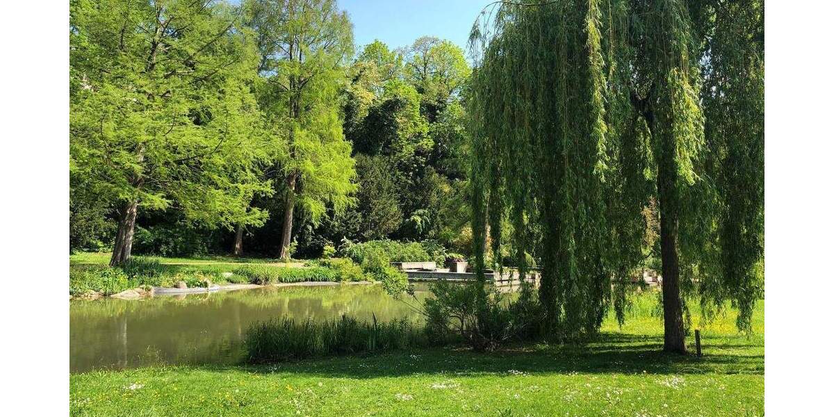 Etagenwohnung Bad Bellingen - 3 Zimmer, 92 m&sup2;, 1.020&euro; | Angebot:25899795