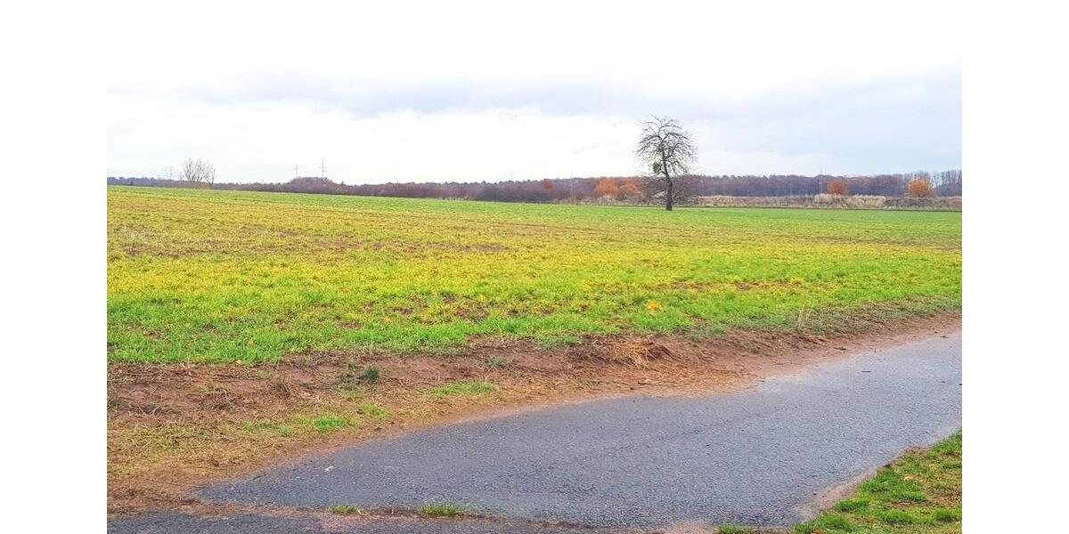 **EIN NEST**SÜSSES ZWEI-ZIMMER-APARTEMENT MIT KÜCHE FÜR -1- PERSON*** 2 zimmer