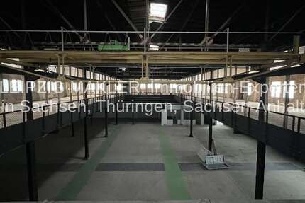 Gewerbeobjekt Halle (Saale) Damaschkestraße - 1.666&euro; | Angebot:26975942