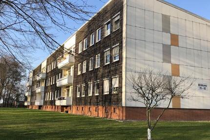 3 Zimmer Wohnung 3 zimmer