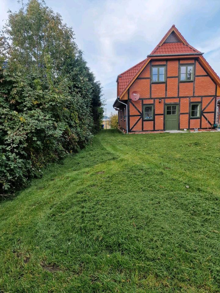 Haus Einfamilienhaus EFH Wohnung Rügen Ostsee See MVP Vieregge