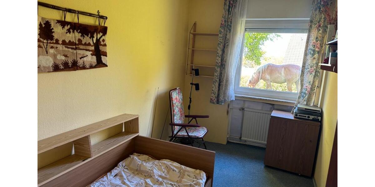 Erdgeschoßwohnung Reichshof - 2 Zimmer, 50 m&sup2;, 450&euro; | Angebot:26706039