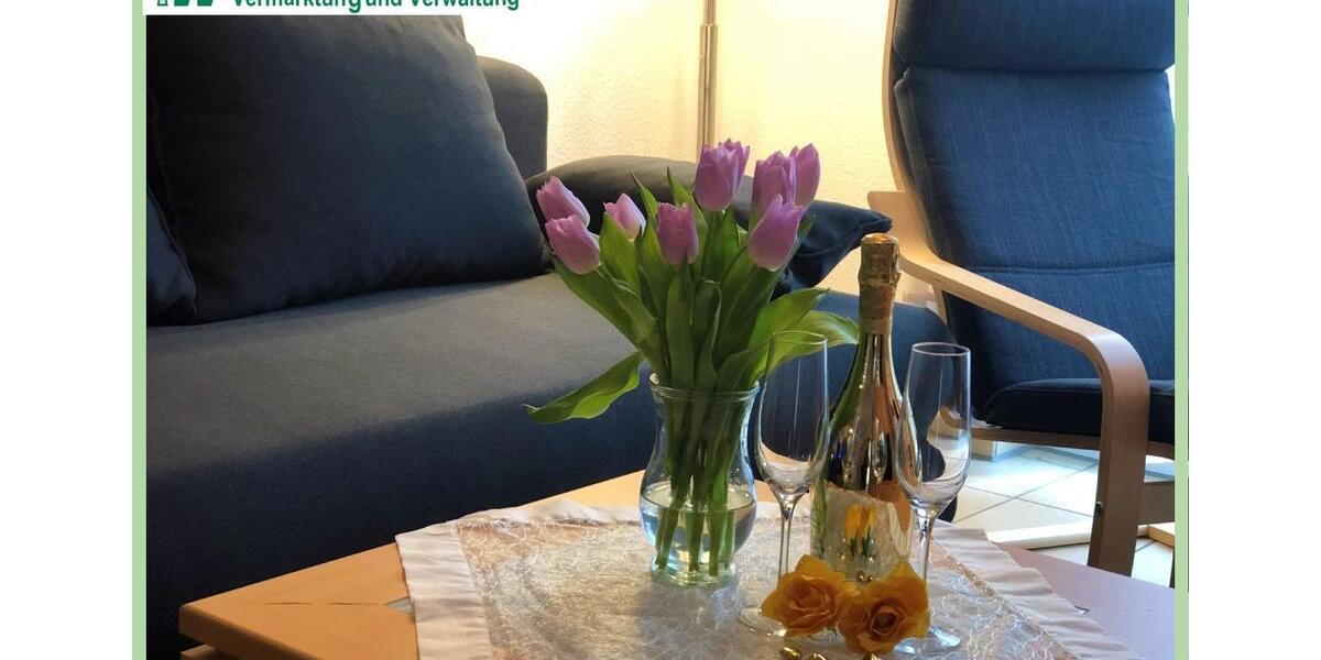 Wohnen auf Zeit Magdeburg Brückfeld - 2 Zimmer, 50 m&sup2;, 100&euro; | Angebot:26406817