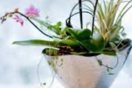 Wohnen auf Zeit Hannover Buchholz-Kleefeld - 2 Zimmer, 60 m&sup2;, 500&euro; | Angebot:21440784