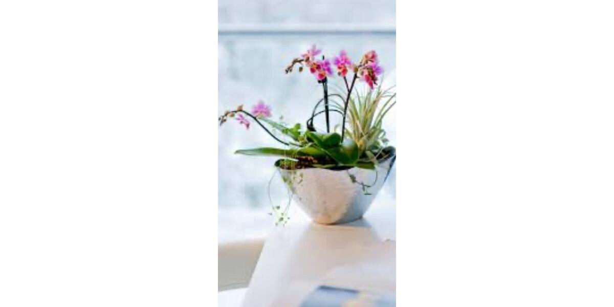 Wohnen auf Zeit Hannover Buchholz-Kleefeld - 2 Zimmer, 60 m&sup2;, 500&euro; | Angebot:21440784