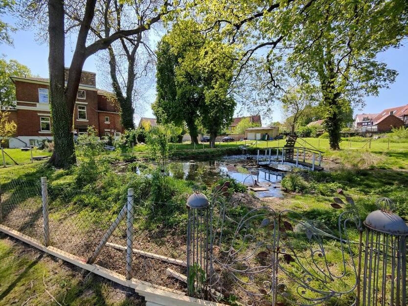 Geräumige 4-Zimmer-Wohnung VILLA 6.000 m² Grundstück zu mieten in 39397 SCHWANEBECK