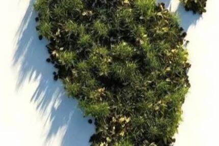 500kw Biogasanlage Envitec zu verpachten zimmer