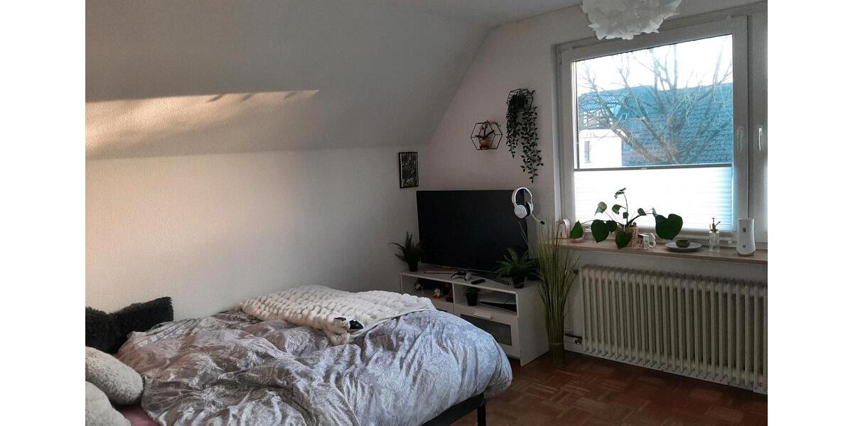 Etagenwohnung Oldenburg Eversten - 1 Zimmer, 170 m&sup2;, 415&euro; | Angebot:26008921