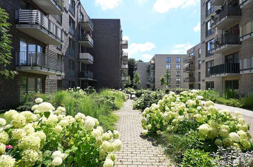 Wohnung zum Mieten in Hamburg 382,50 € 56.25 m² 2 zimmer