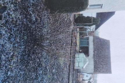 Wohnung Dürmentingen - 3 Zimmer, 84 m&sup2;, 1.000&euro; | Angebot:26020883