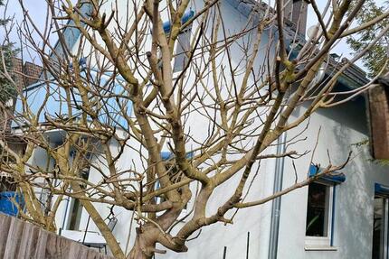 Wohnen auf Zeit Vörstetten - 3 Zimmer, 100 m&sup2;, 1.350&euro; | Angebot:26123153