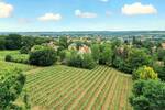 Exklusive Erdgeschoßwohnung in den Weinbergen, Südterrasse (60 m²) und Garten, Stellplätze