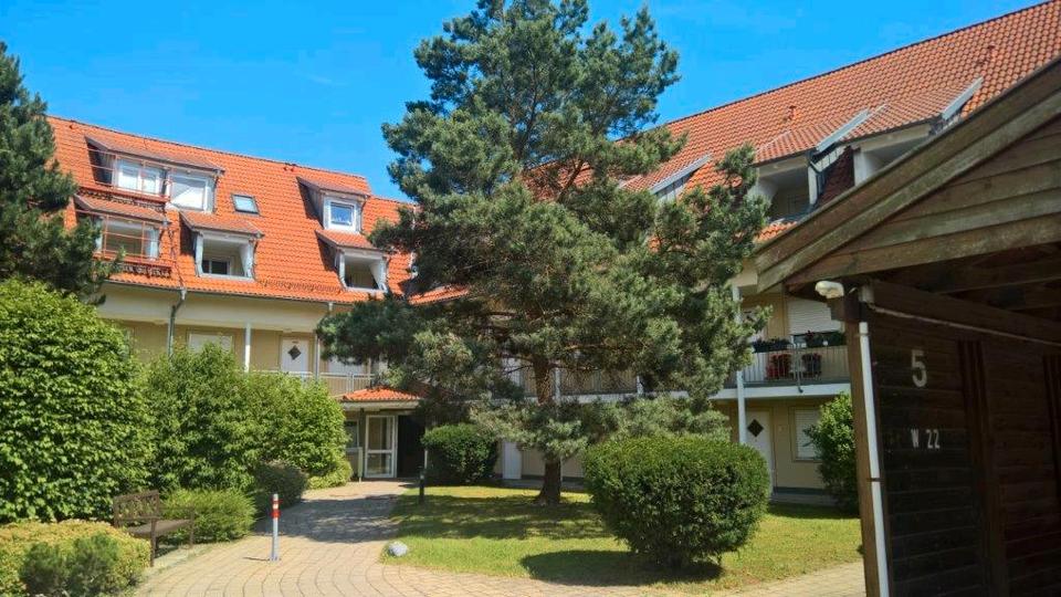 Etagenwohnung Altshausen - 1 Zimmer, 20 m&sup2;, 760&euro; | Angebot:25642668