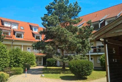 Wohnung Altshausen - 1 Zimmer, 20 m&sup2;, 760&euro; | Angebot:25642668