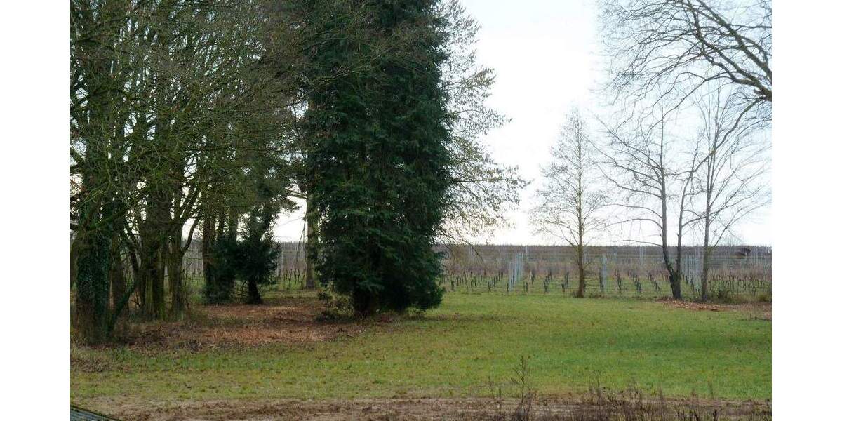 Reihenendhaus Kiedrich - 5 Zimmer, 213 m&sup2;, 2.226&euro; | Angebot:24566302