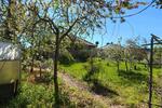 Bungalow Niemegk - 4 Zimmer, 120 m&sup2;, 1.000&euro; | Angebot:26428848