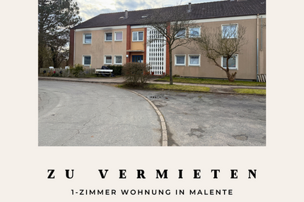 Wohnung Malente - 1 Zimmer, 30 m&sup2;, 290&euro; | Angebot:25625316