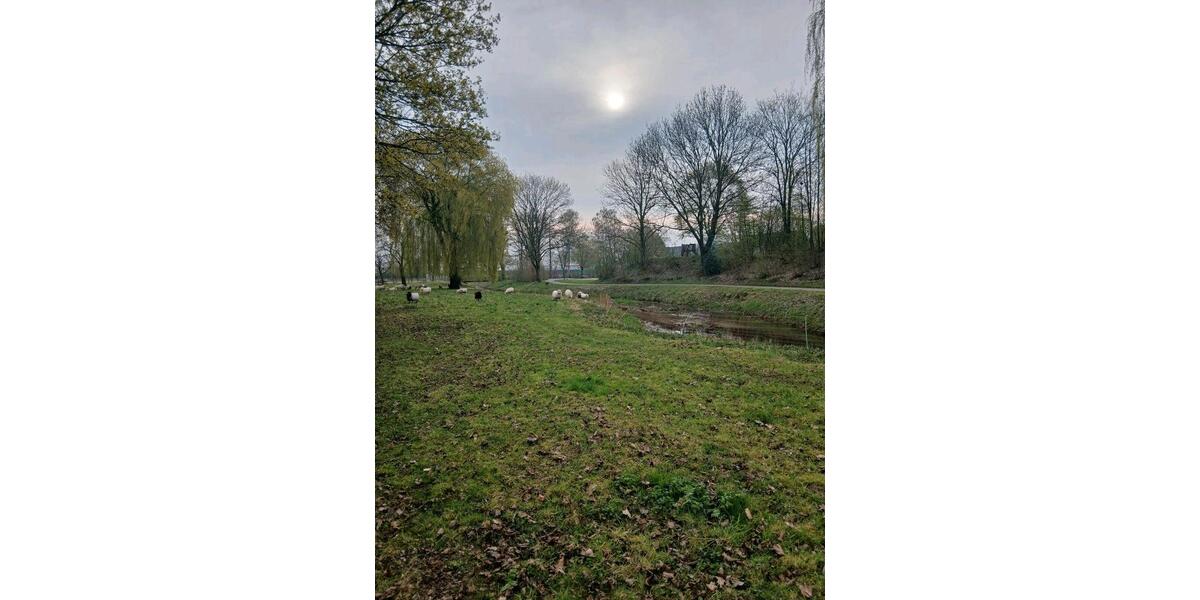 Wohnen auf Zeit Ahaus - 2 Zimmer, 40 m&sup2;, 70&euro; | Angebot:25617128