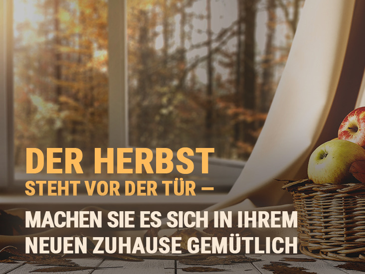 1 Zimmerwohnung zu sofort frei! zimmer
