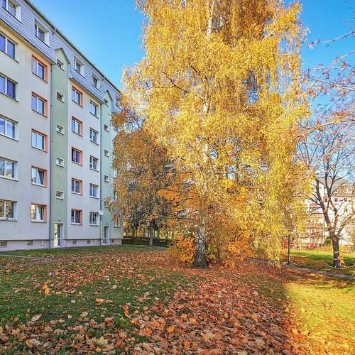 Etagenwohnung Freiberg Freiberg Nord - 2 Zimmer, 39 m&sup2;, 273&euro; | Angebot:26745119