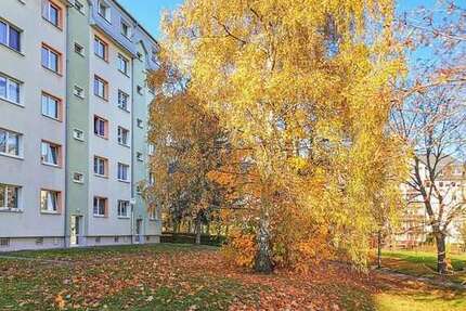 Wohnung Freiberg Freiberg Nord - 2 Zimmer, 39 m&sup2;, 273&euro; | Angebot:26745119