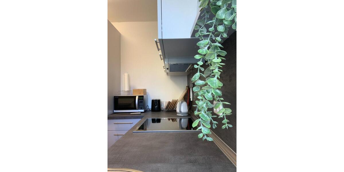 Wohnen auf Zeit Engen - 1 Zimmer, 15 m&sup2;, 600&euro; | Angebot:24764444