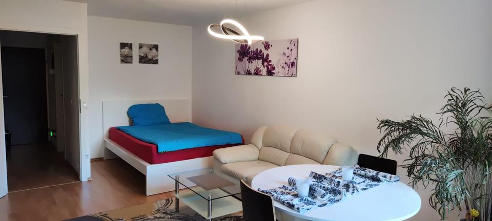 Möblierte 1 Zimmer Wohnung am Wöhrdersee mit Balkon 1 zimmer