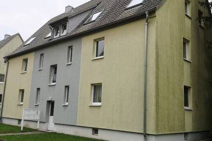 3 RWG - Hell und Ruhig - EG in Haselbach 3 zimmer