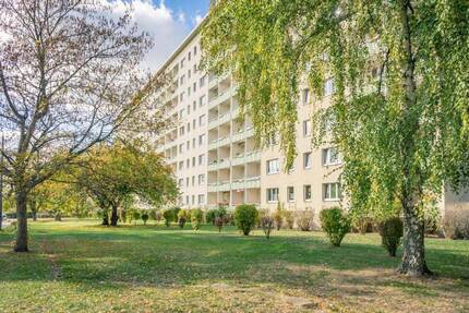Wohnung Chemnitz Altendorf - 2 Zimmer, 45 m&sup2;, 295&euro; | Angebot:26842186