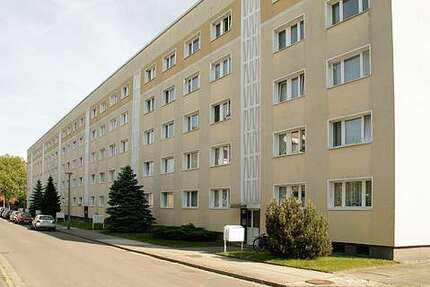 Wohnung zum Mieten in Dessau-Roßlau 338 € 24.39 m² 1 zimmer