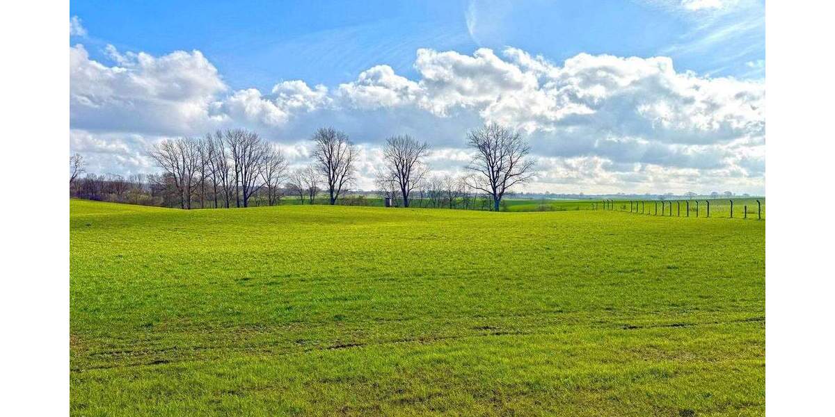 Einfamilienhaus Klein Königsförde Klein-Königsförde - 4 Zimmer, 200 m&sup2;, 2.500&euro; | Angebot:25877062