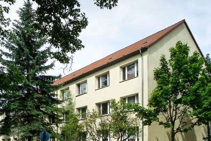 Wohnung Möthlitz Möthlitz - 2 Zimmer, 53 m&sup2;, 316&euro; | Angebot:23456393