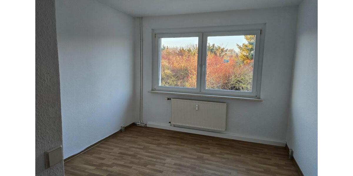 Etagenwohnung Mügeln - 4 Zimmer, 80 m&sup2;, 306&euro; | Angebot:25160558