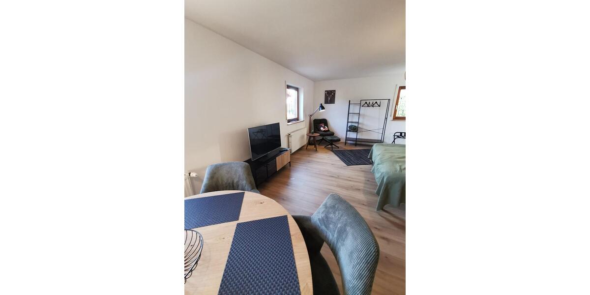 Erdgeschoßwohnung Laufenburg (Baden) - 1 Zimmer, 50 m&sup2;, 780&euro; | Angebot:24380579