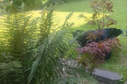 WG Zimmer für tierliebe Studentin! 2 zimmer