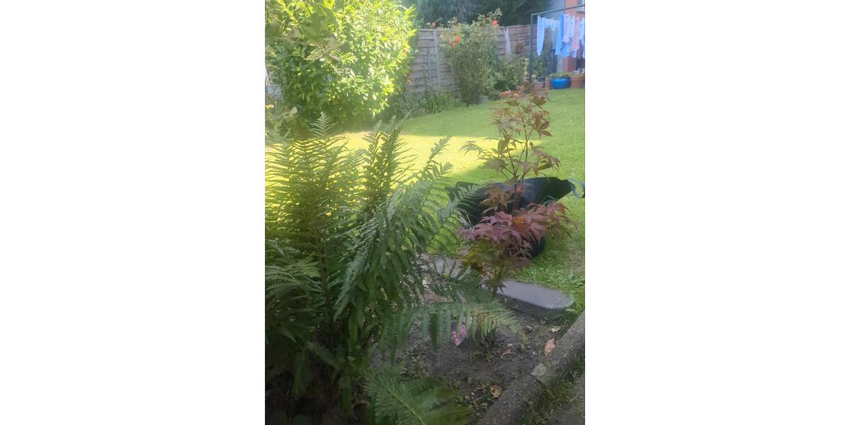 WG Zimmer für tierliebe Studentin! 2 zimmer