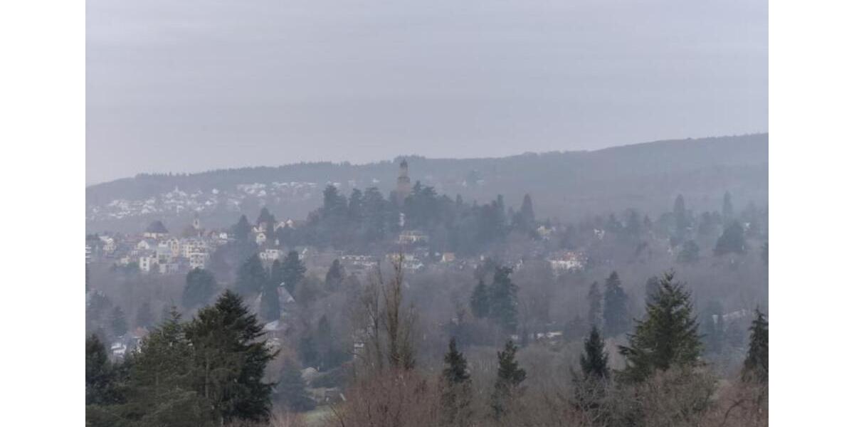 Etagenwohnung Kronberg im Taunus - 1 Zimmer, 41 m&sup2;, 675&euro; | Angebot:24630580