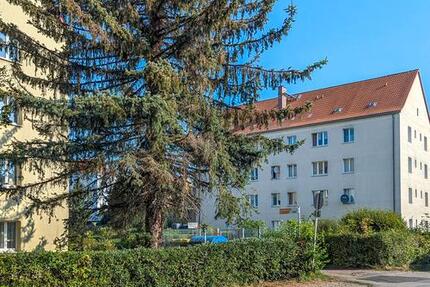 2-Raum-Wohnung in guter Lage zimmer