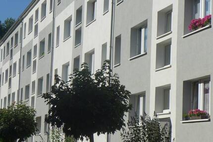 Sanierte 3 Raum Wohnung in Parknähe! zimmer