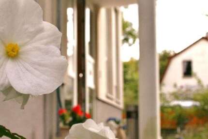 Wohnen auf Zeit in GlienickeNordbahn 1.500 € 2 zimmer