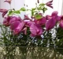 Etagenwohnung Düsseldorf Rath - 3 Zimmer, 92 m&sup2;, 1.250&euro; | Angebot:24656930