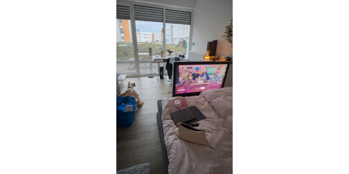 Erdgeschoßwohnung Mittweida - 1 Zimmer, 21 m&sup2;, 210&euro; | Angebot:24707272